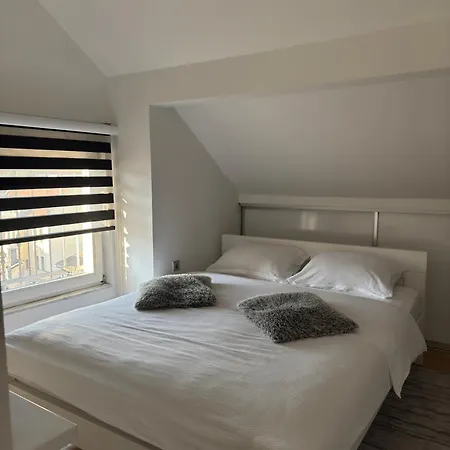 Luxury Black & White Apartament
