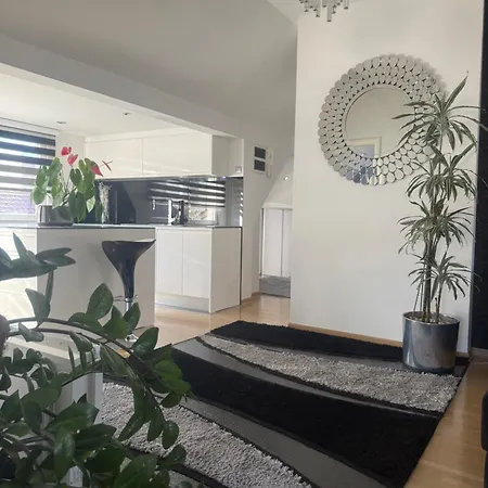 公寓 Luxury Black & White 塞拉耶佛