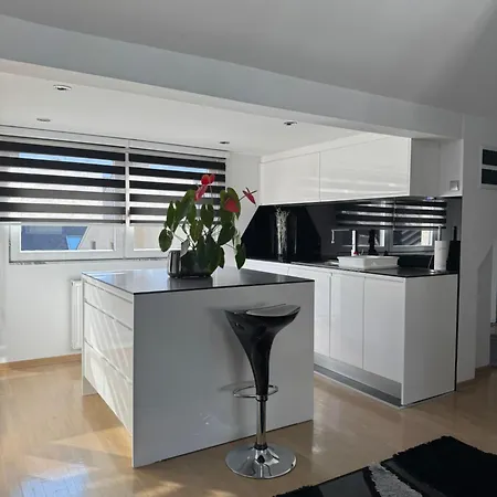 公寓 Luxury Black & White 塞拉耶佛